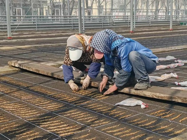 69d747ddc2c28.jpg 69d747ddc2c28.jpg