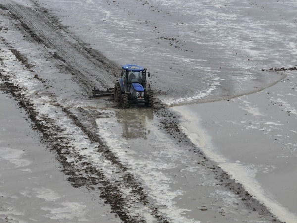 69d747e7d4584.jpg 69d747e7d4584.jpg